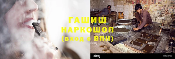 хмурый Алексин