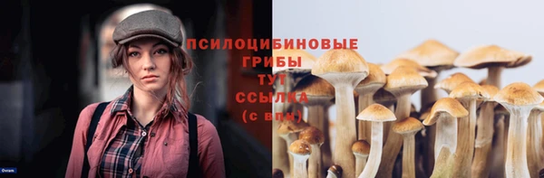 хмурый Алексин