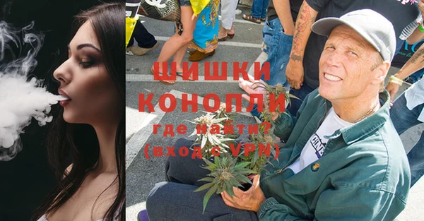 индика Алексеевка