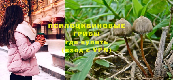 ALPHA PVP Алзамай