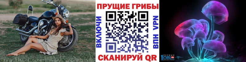 гидра зеркало  Волхов  Галлюциногенные грибы мухоморы 